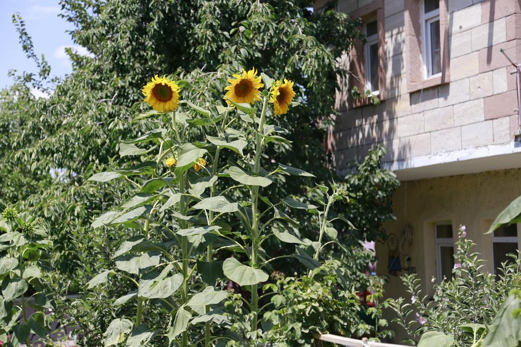 Апартаменты Garden Of Cappadocia Учисар Экстерьер фото